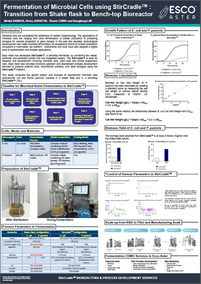 Fermentation of Microbial Cells using StirCradle&trade; : Transition from Shake flask to Bench-top Bioreactor