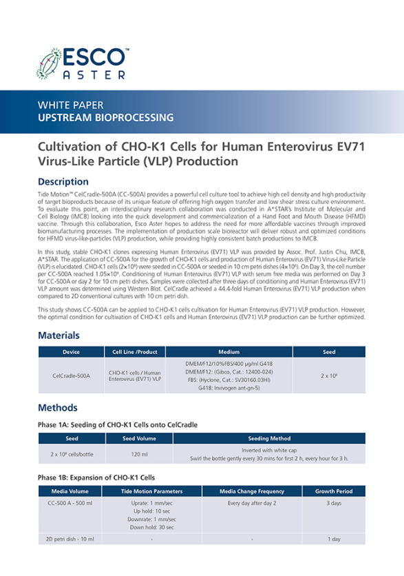 Cultivation of CHO-K1 Cells for Human Enterovirus EV71 Virus-Like Particle (VLP) Production