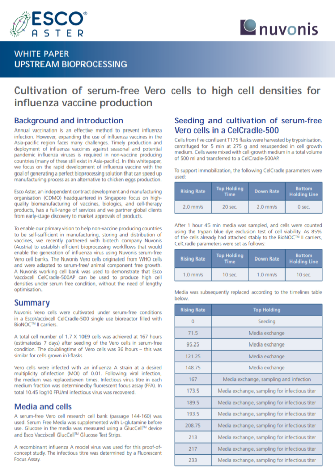 Influenza Vaccine Production