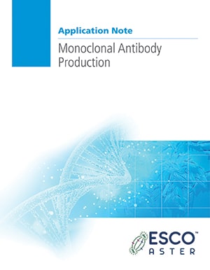 Monoclonal Antibody Production