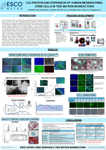 Cultivation and Expansion of Human Mesenchymal Stem Cells in Tide Motion Bioreactor
