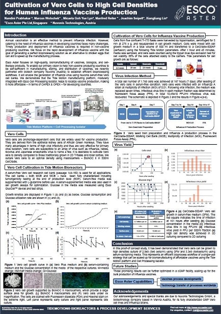 Cultivation of Vero Cells to High Cell Densities for Human Influenza Vaccine Production