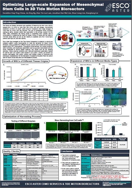 Optimizing Large-Scale Expansion of Mesenchymal Stem Cells in 3D Tide Motion Bioreactors