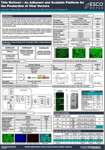 Tide Motion®: An Adherent and Scalable Platform for the Production of Viral Vectors