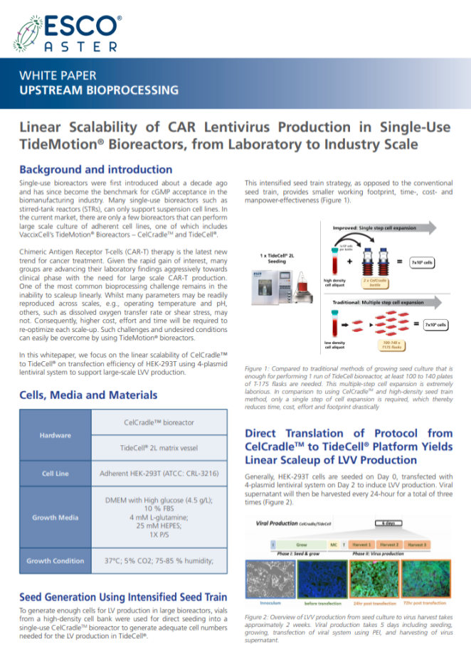 Linear Scalability of CAR Lentivirus Production