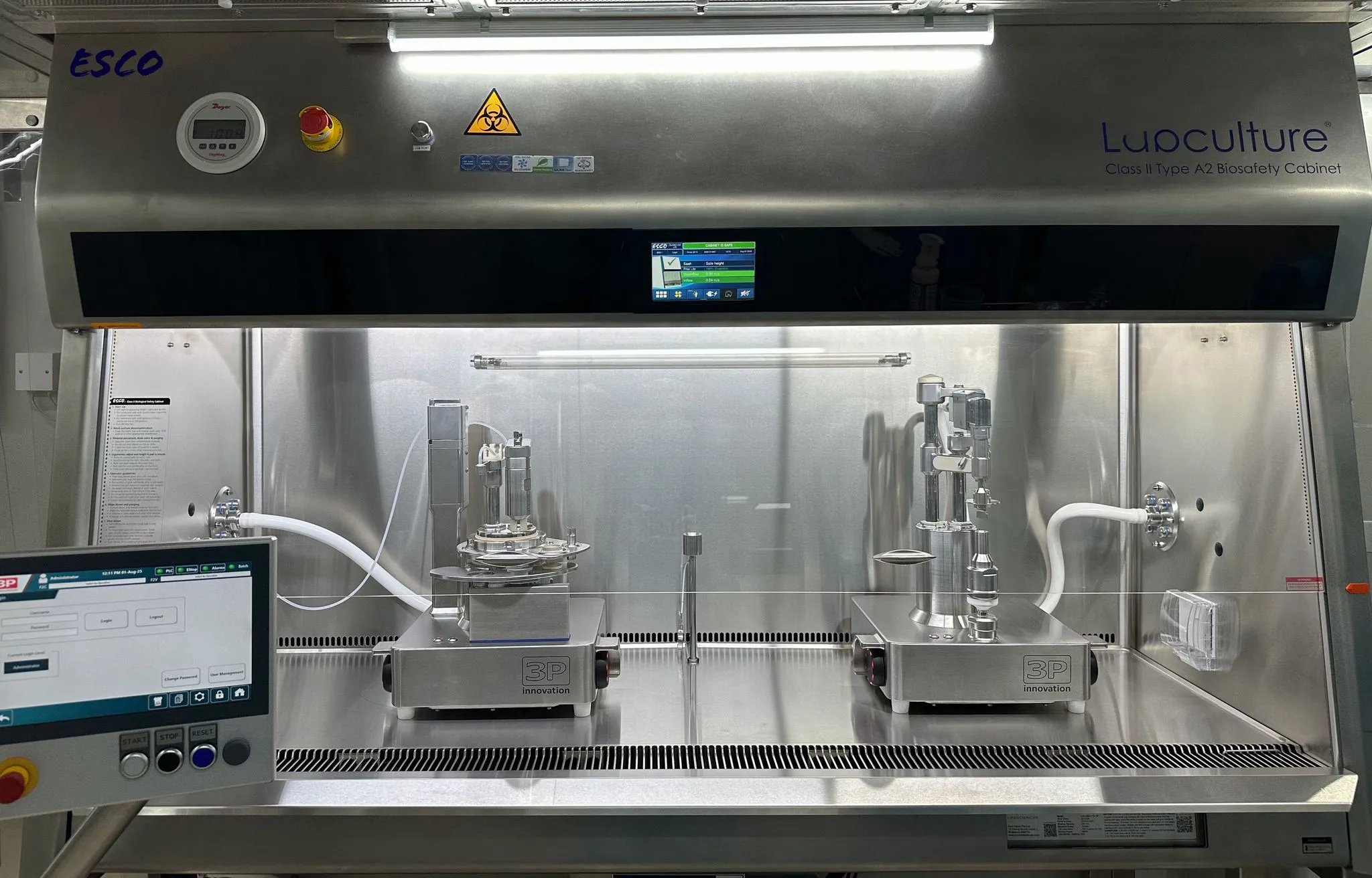 Drug Product: Aseptic Fill & Finish