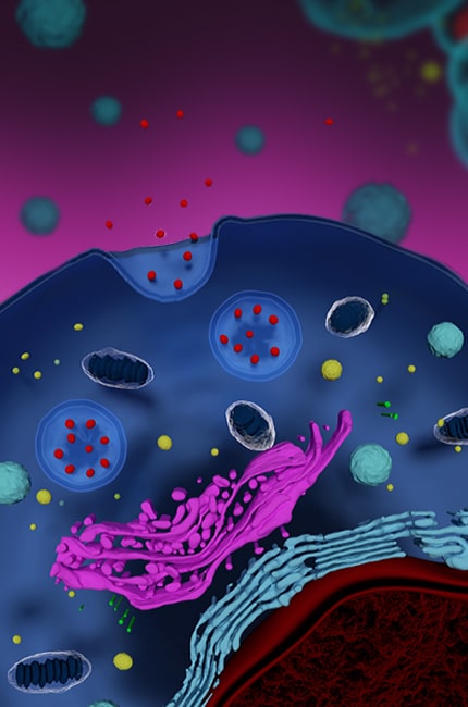 Astericle<sup>&trade;</sup>: The New EV Miracle 