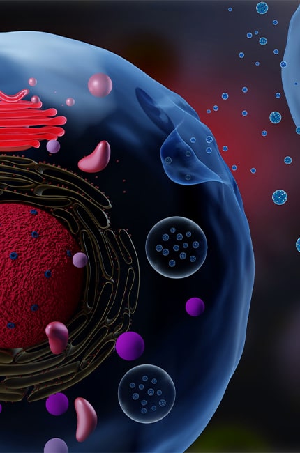 Extracellular Vesicles