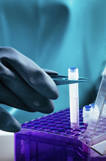 Master Cell / Microbial Banking