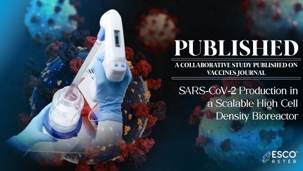 SARS-CoV-2 Production in a Scalable High Cell Density Bioreactor