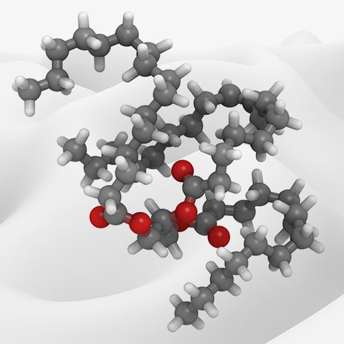 Fermentation-derived lipids/binders
