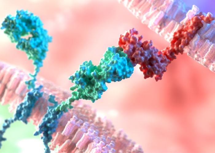 Genetically-modified Cell Therapy