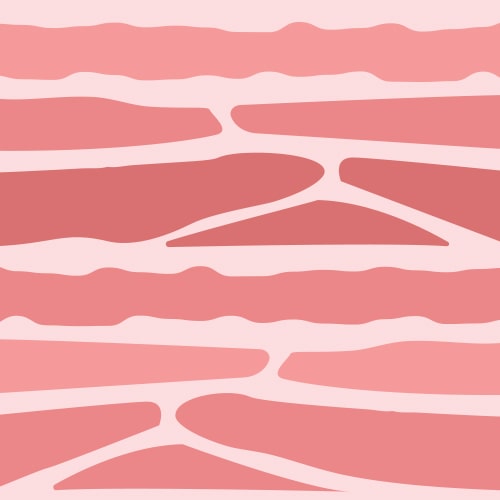 Textured Plant-based protein