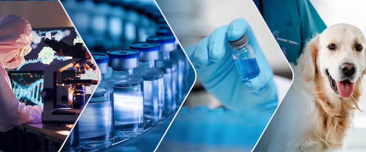 Esco Aster: Bridging Veterinary Commercialization and Human Therapeutics
