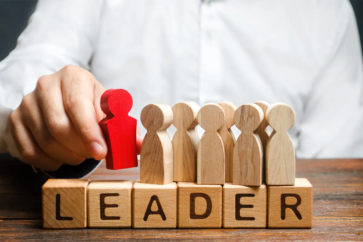 Consultancy: Fractional Talent & Interim Leadership