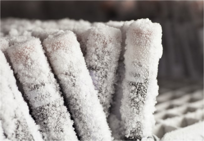 master/working cell bank