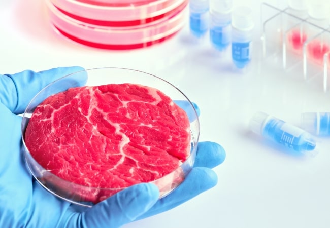 cultivated meat