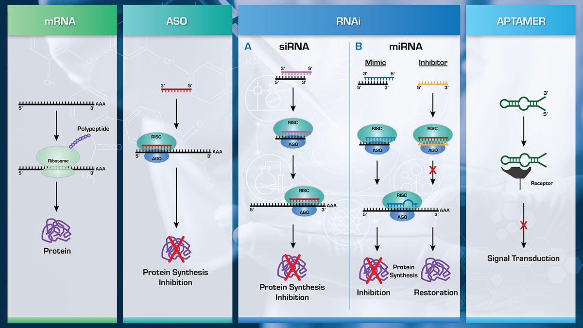 Ideation Phase infograph