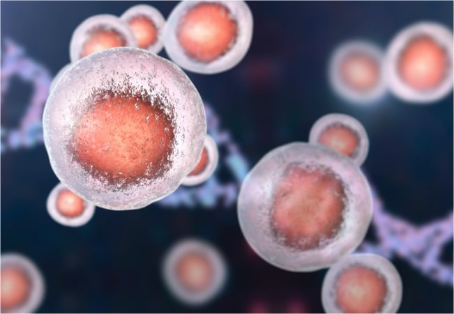 Induced Pluripotent Stem Cells (iPSCs)