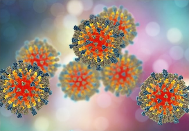 Measles Virus