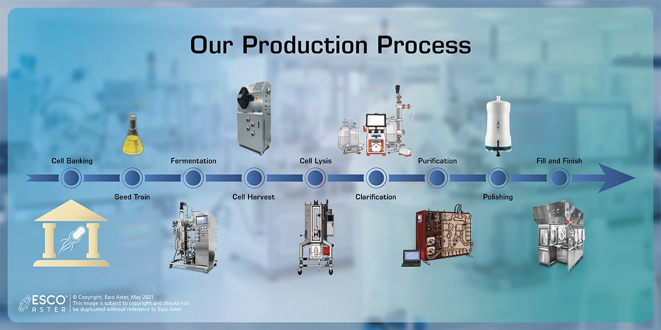 production-process