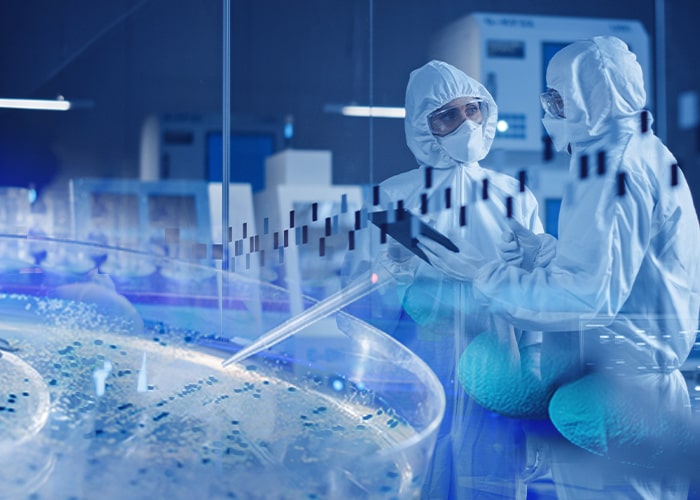 Plasmid DNA Manufacturing Services