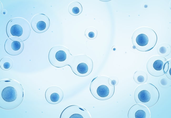 Stable Cell Line Generation