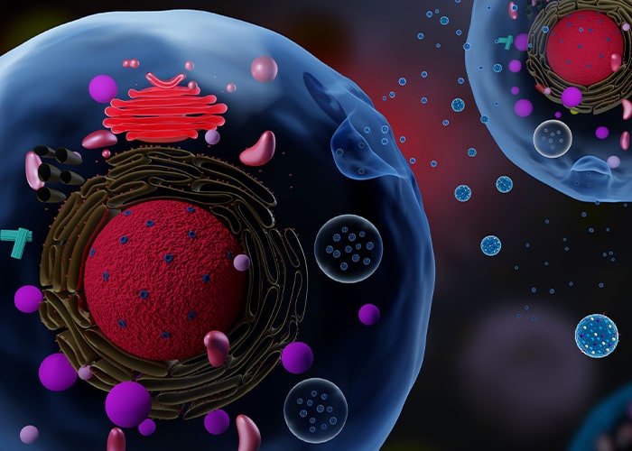 Extracellular Vesicles