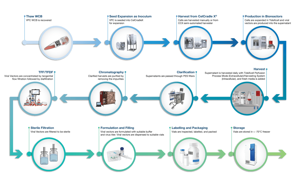 gene therapy infograph
